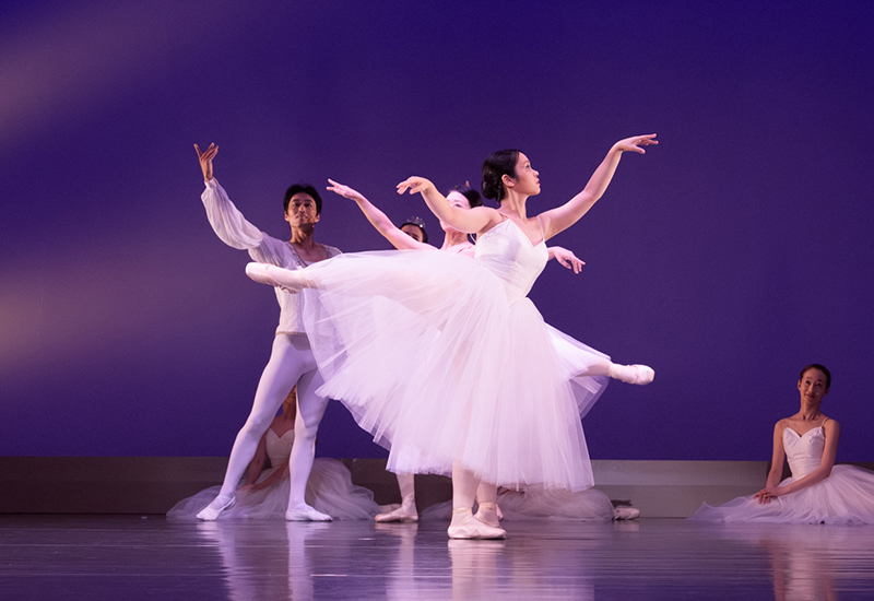 『夏の組曲：2025』