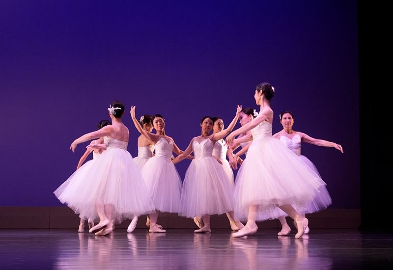 『夏の組曲：2025』