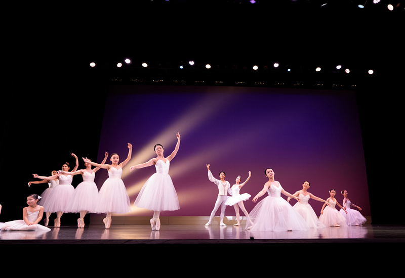 『夏の組曲：2025』