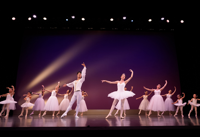 『夏の組曲：2025』