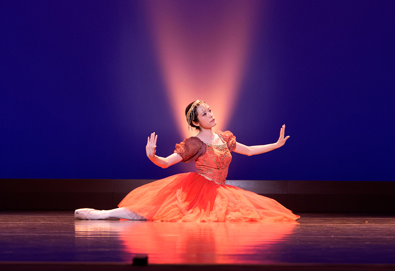 「装いのエレジー」